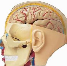 2026年拉拉可以在南通附属医院做三代试管吗？大概要花费多少钱？