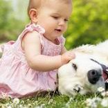 2026年扬州哪家医院比较好三代试管？