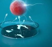 2026济宁医学院附属医院做三代试管生多胎费用全面解读