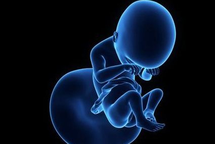 公立医院第六医学中心做第三代试管婴儿费用大概要多少钱？