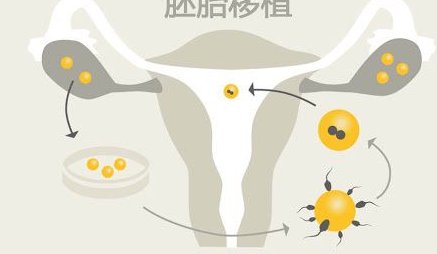 湘潭妇孩子童医院三代试管多少钱？试管夜针打的是什么药